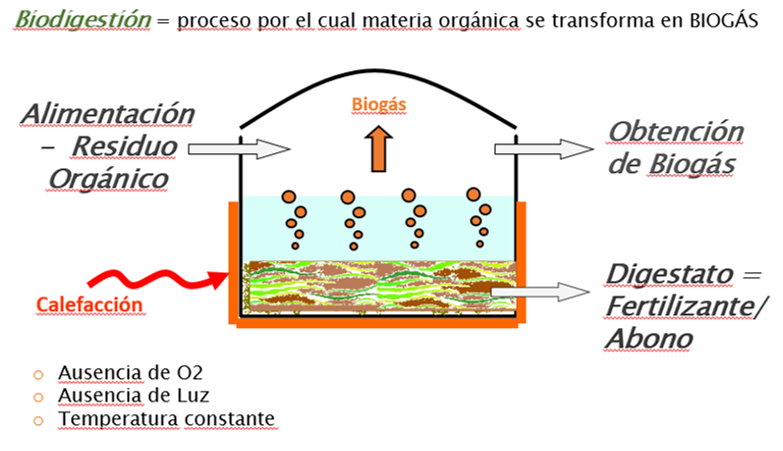 Importancia Del Tratamiento De Residuos Org Nicos Para Biog S Descubre