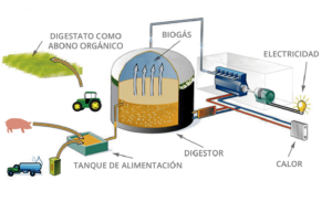 Biogás: Oportunidades para un desarrollo energético sostenible a nivel global