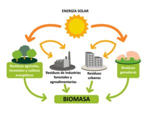 Reducción de emisiones con biomasa sólida: una solución sostenible