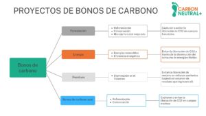 Comparativa: Certificados de Energía Renovable vs Créditos de Carbono