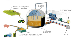 Desafíos y oportunidades del biogás y gas renovable en la transición energética