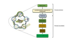 Maximiza la economía circular con biorefinerías: impacto y beneficios