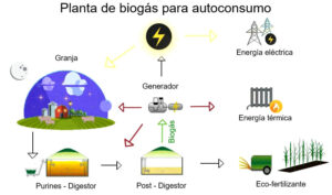 Genera energía eléctrica con biogás: sostenibilidad y rentabilidad