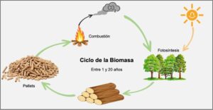 Tipos de residuos de biomasa y su impacto en la energía renovable: guía completa
