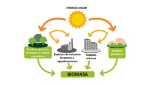 Transformación de Residuos de Biomasa en Energía: Proceso y Beneficios