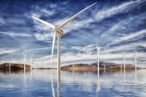 Turbinas eólicas offshore: ¿Beneficio o riesgo para el medio ambiente?